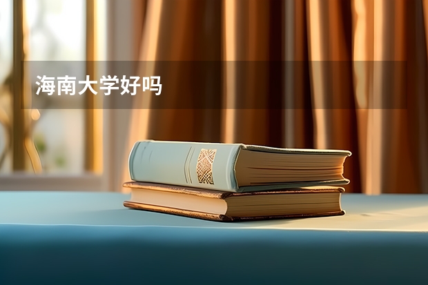 海南大学好吗