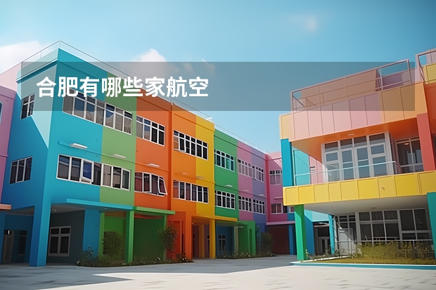 合肥有哪些家航空