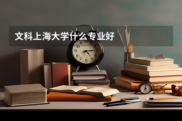 文科上海大学什么专业好