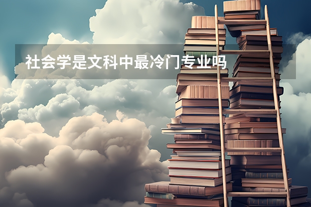 社会学是文科中最冷门专业吗