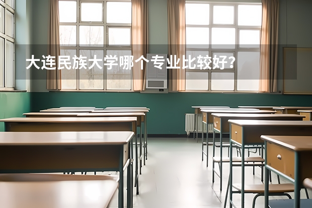 大连民族大学哪个专业比较好？