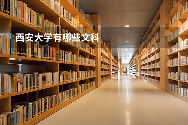 西安大学有哪些文科