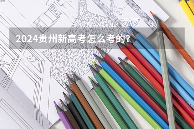 2024贵州新高考怎么考的？