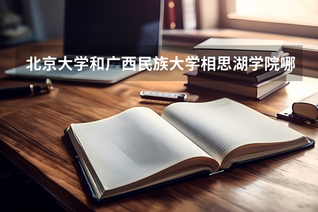 北京大学和广西民族大学相思湖学院哪个值得报考（录取分数线对比）
