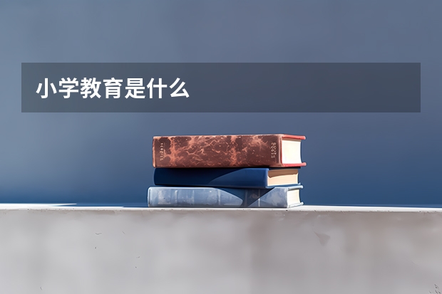 小学教育是什么