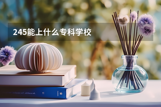 245能上什么专科学校