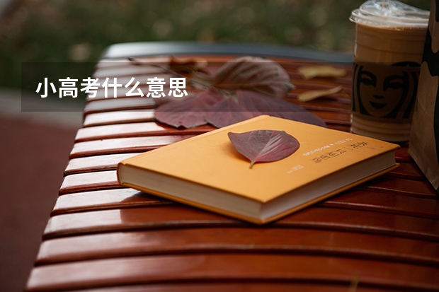 小高考什么意思