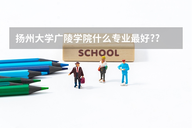 扬州大学广陵学院什么专业最好??