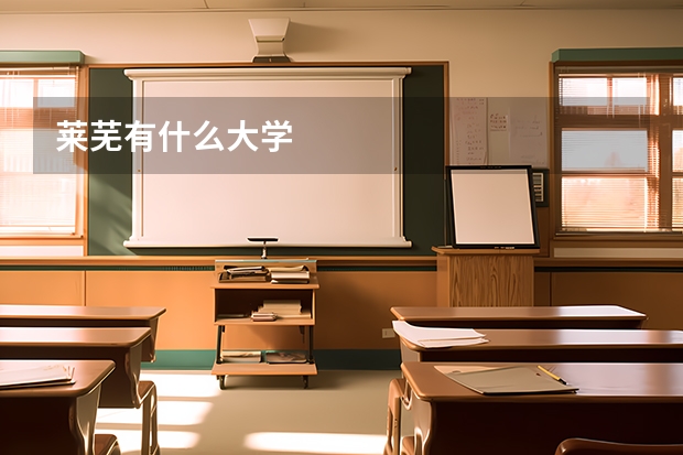 莱芜有什么大学