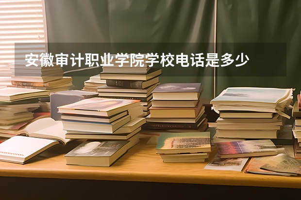 安徽审计职业学院学校电话是多少