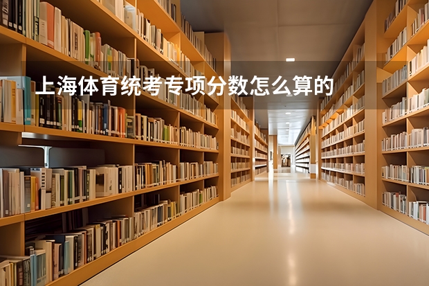 上海体育统考专项分数怎么算的
