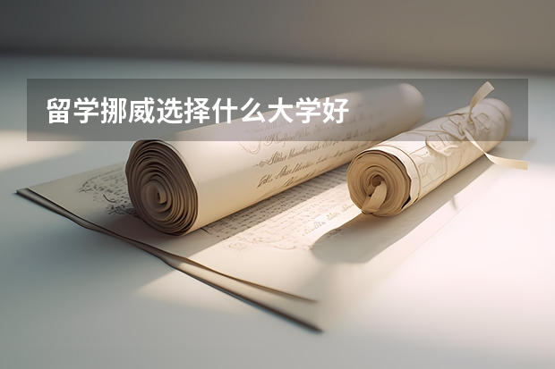 留学挪威选择什么大学好