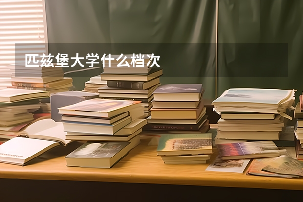 匹兹堡大学什么档次
