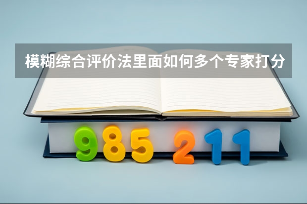 模糊综合评价法里面如何多个专家打分数据？
