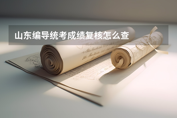 山东编导统考成绩复核怎么查